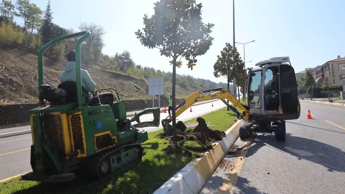 Sakarya'da ağaçlar o kazı için titizlikle taşınıyor