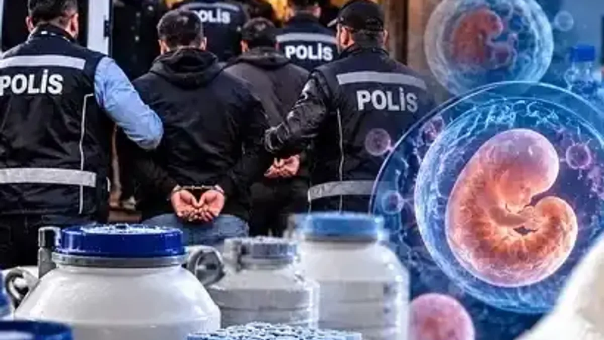 Organ ve doku ticareti operasyonu sırasında gözaltına alınan şüpheliler.
