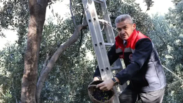 Haber Detayı