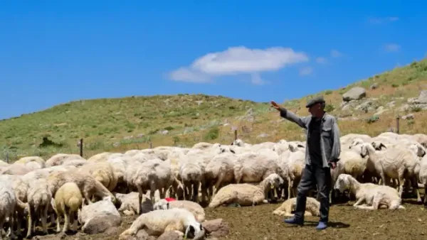 Haber Detayı