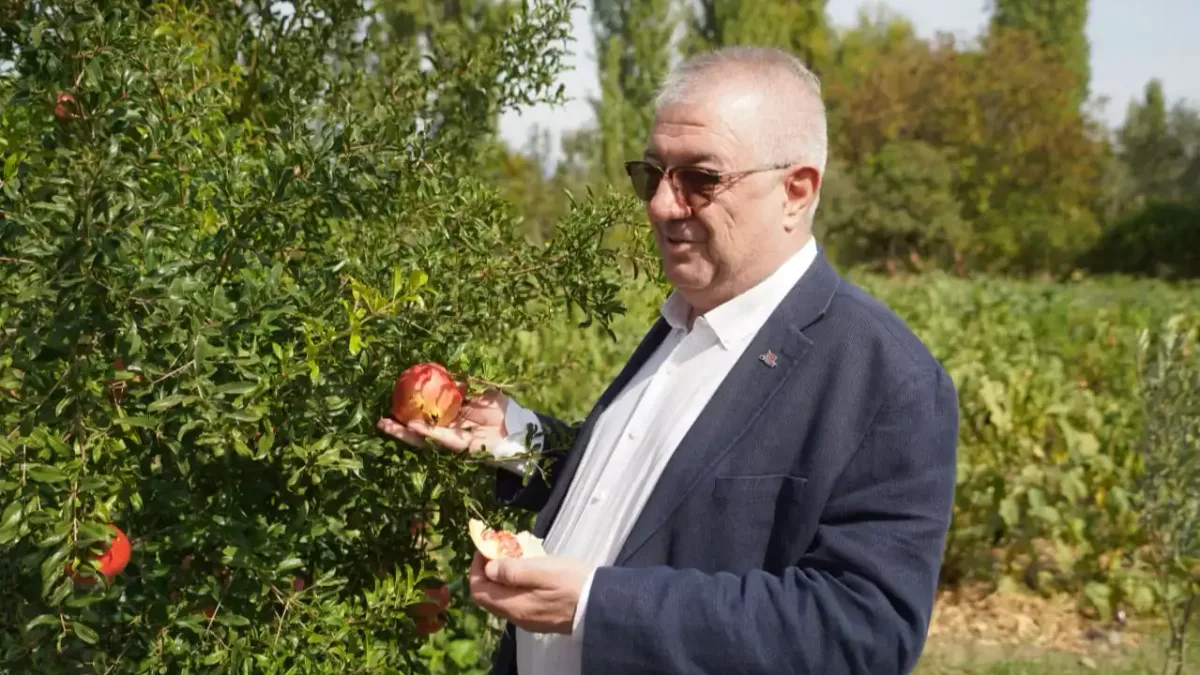 Edremit Belediyesi, ata tohumlarını koruyarak geleceğe taşıyor