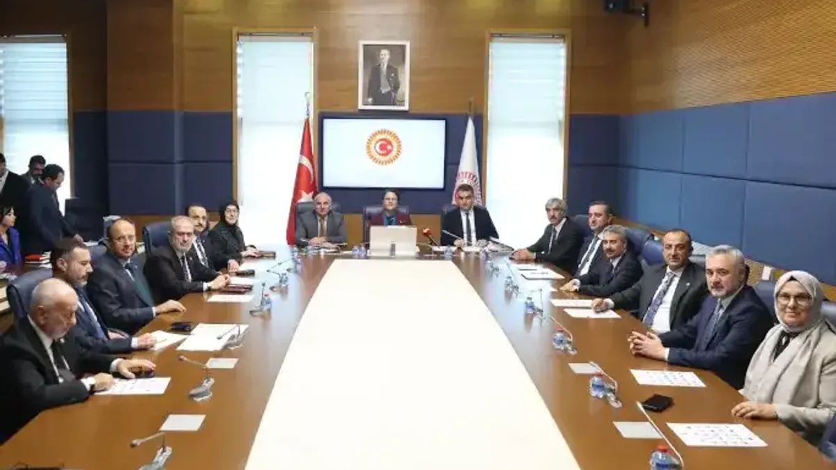TBMM İnsan Haklarını İnceleme Komisyonu toplantısı.