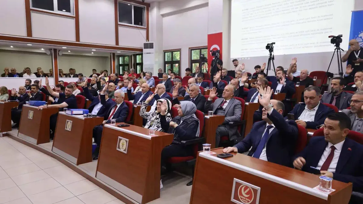 Sakarya'da dolmuşlar taksiye dönüşüyor, meclisten tarihi onay