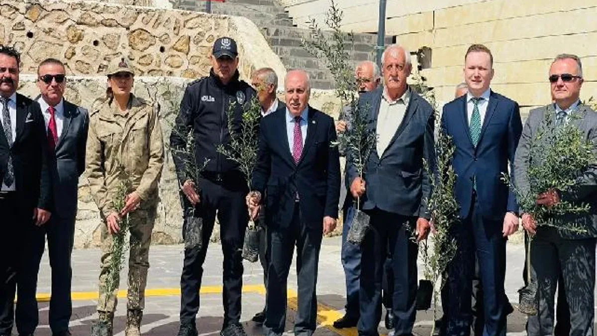 Mardin Yeşilli’de tarihi rekor! 102 bin meyveli fidan dağıtıldı