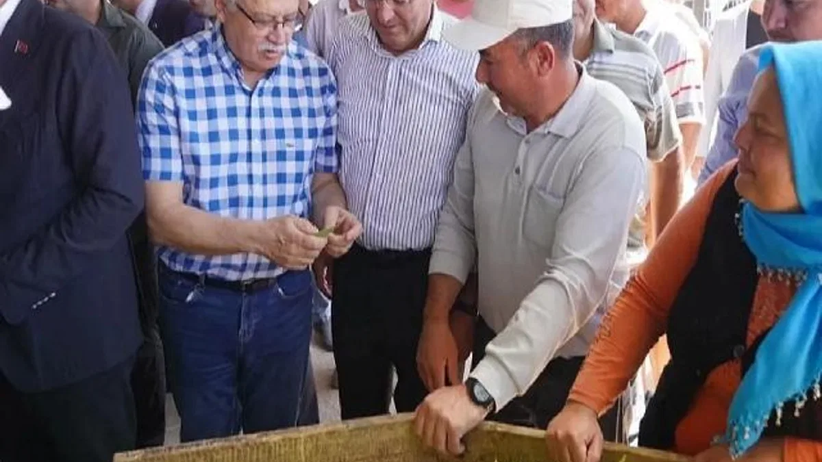 Balıkesir Ayvalık'ta çiftçilere özel destek