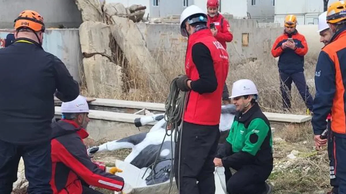 AFAD’dan uluslararası iş birliğiyle hayvan koruma projesi... RESQ-ANIMALS başladı