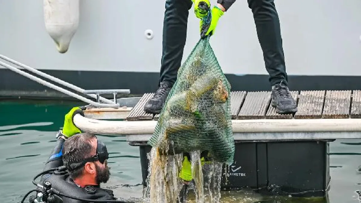 5 ton çöp toplandı, güneş enerjisi kullanımı arttı