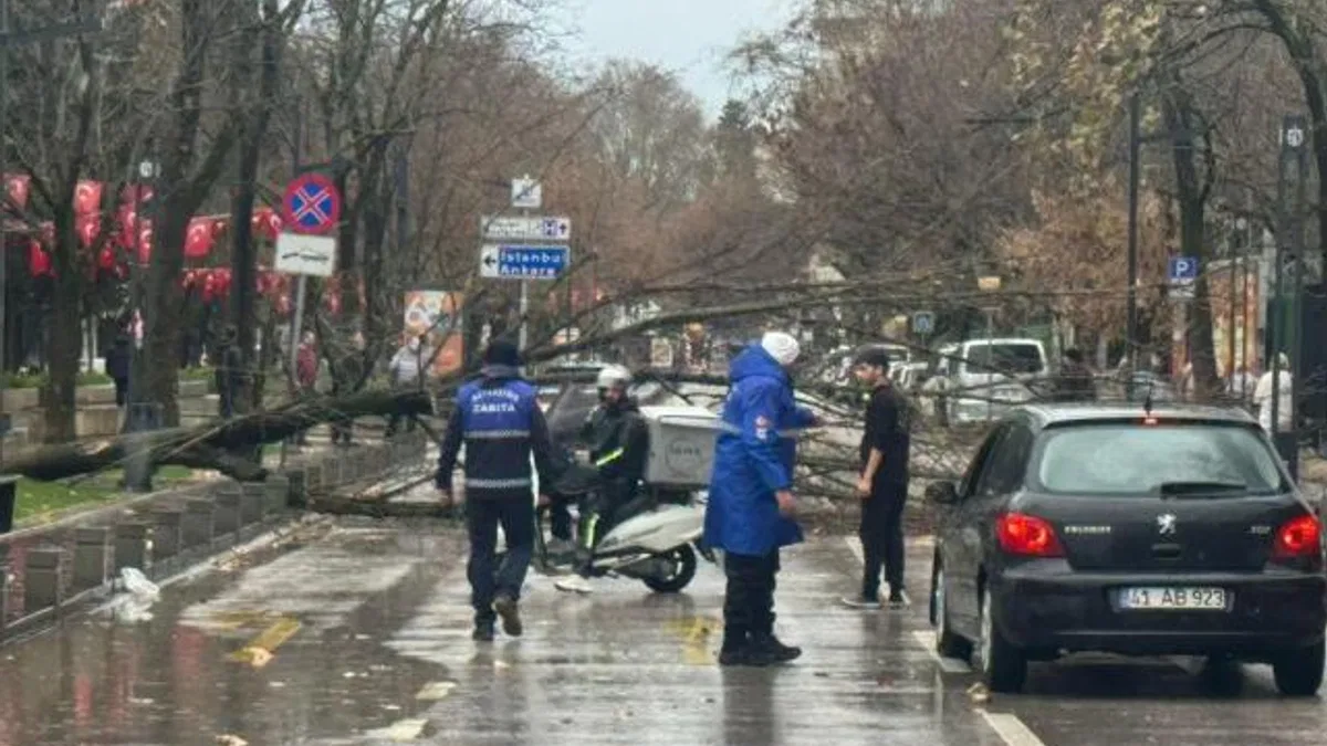 Kocaeli Büyükşehir'de lodos müdahalesi