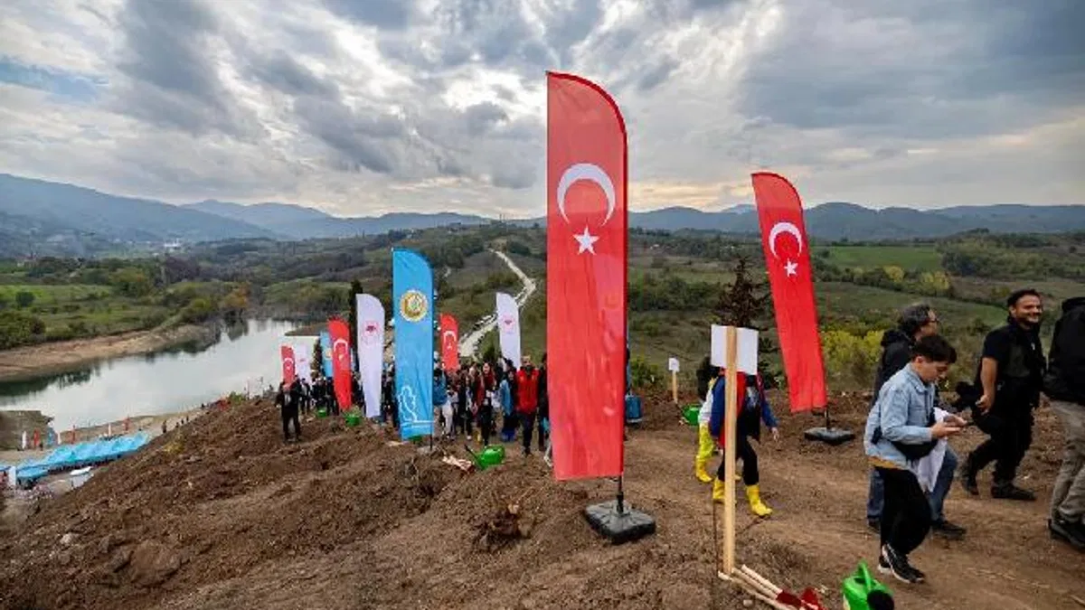Karamürsel’de yanan bölge 3 bin fidanla yeşerecek
