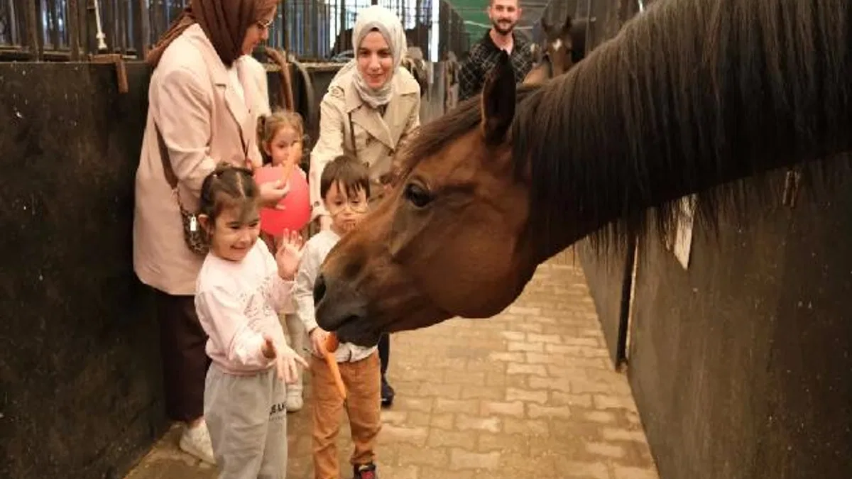 Minikler, Kocaeli'de atlarla buluştu