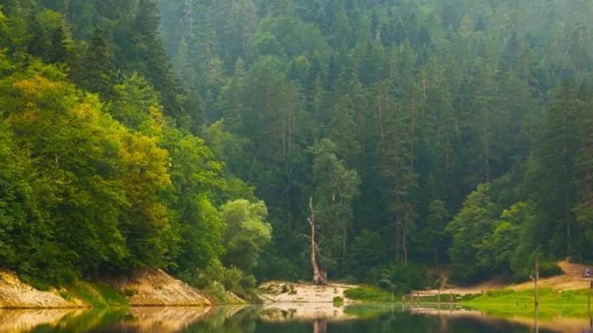 Doğa Koruma ve Milli Parklar'da yeni dönem... Yetkiler artırıldı, cezalar yükseltildi