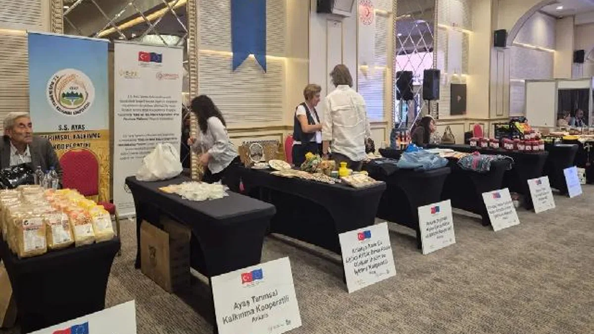 Kooperatiflere yeni hibe destekler geliyor