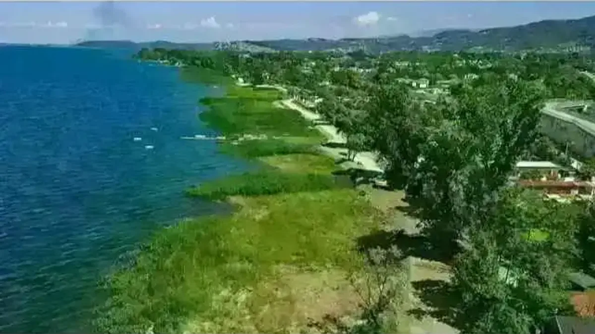 Sapanca Gölü kıyısı şimdi tertemiz... Zehirli sazlıklar gitti!
