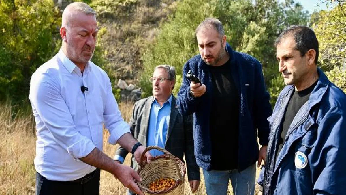 Bursa Karacabey 'Alıç Meyvesi'ni dünya pazarında tanıtacak!