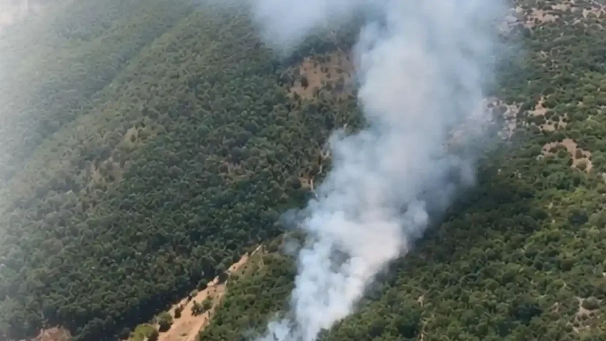 Bursa Kestel ve Harmancık'ta orman yangını... Havadan ve karadan müdahale sürüyor