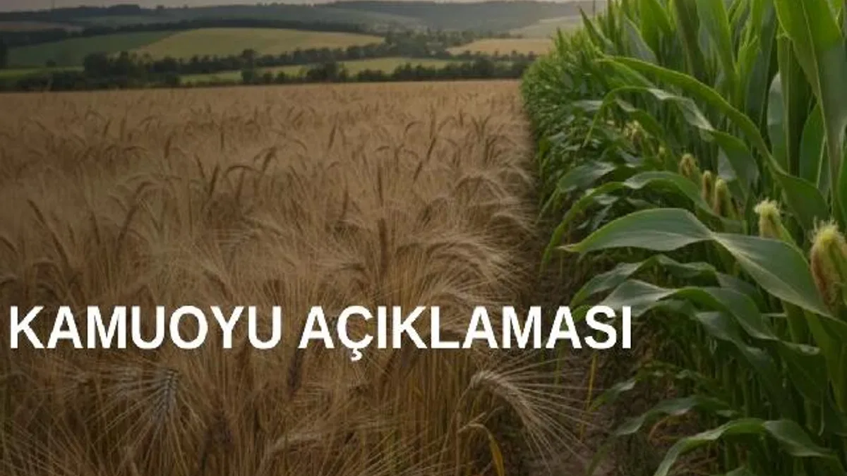 TMO’dan arpa ve mısır kontenjanlarıyla ilgili açıklama
