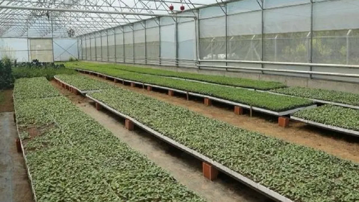 Ordu’da 4,5 milyon fideyle üretim seferberliği