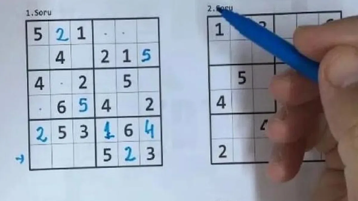 Unutkanlığa karşı bulmaca yerine sudoku çözün!