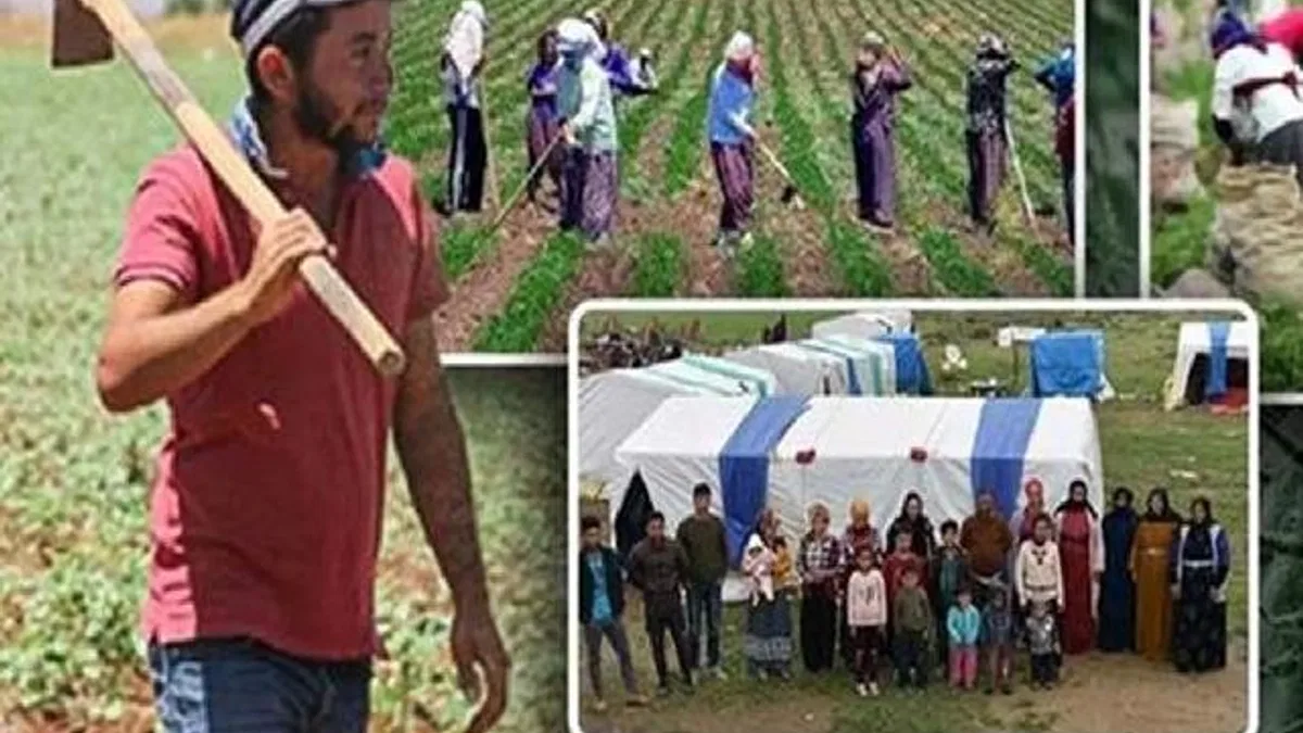 Tarım işçilerine en yüksek ödeme yapan iller?