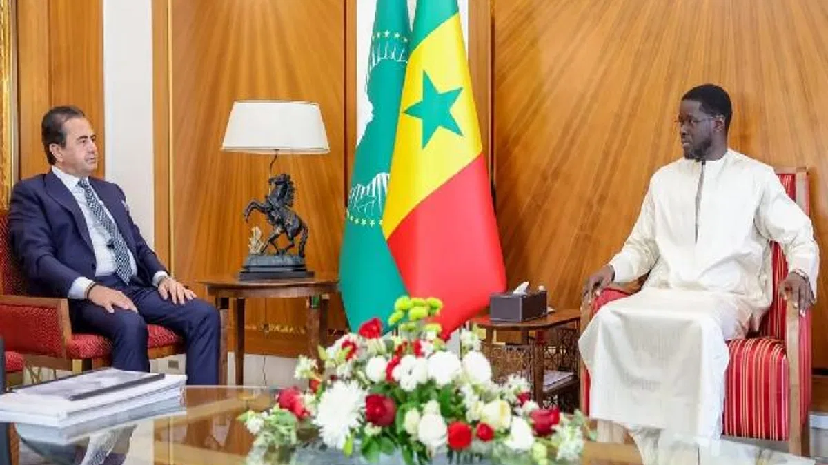 Türk iş adamının Senegal'de üst düzey işbirliği adımı