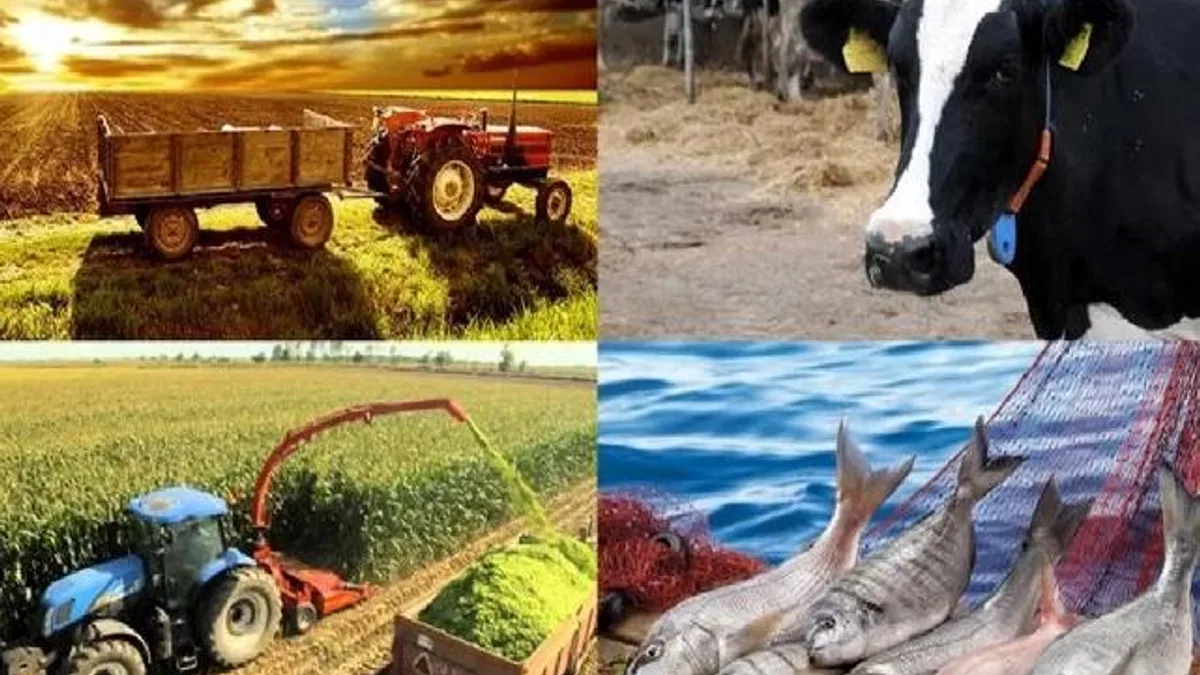 Hayvancılık destekleme miktarlarında artış!