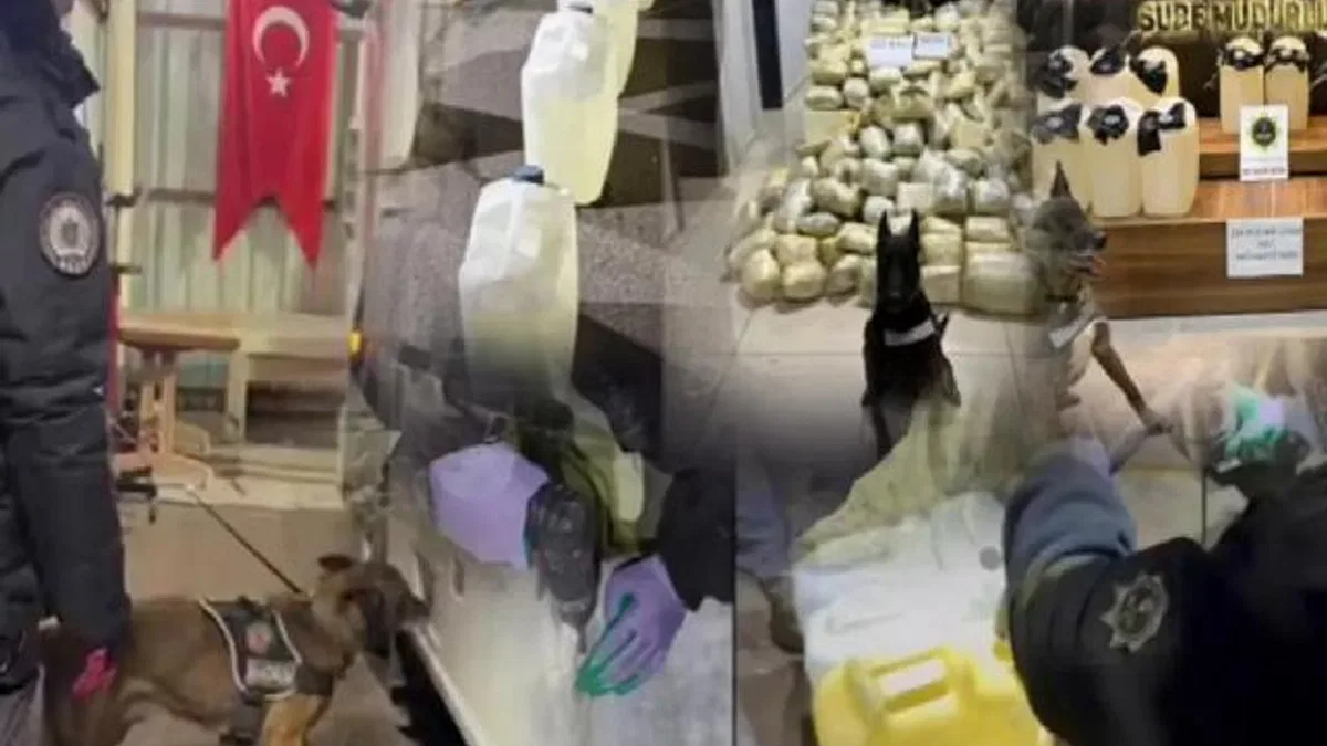 Erzurum ve Mersin'de 447 kilogram uyuşturucu: 3 gözaltı