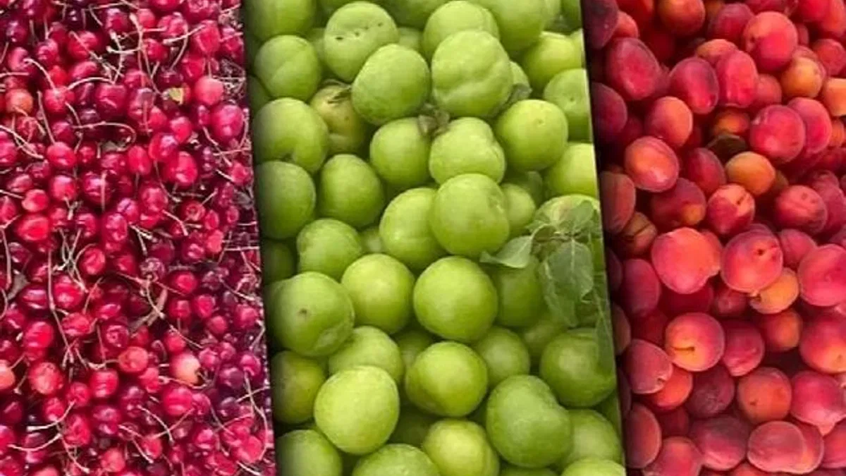 Tarım ÜFE aylık azaldı, yıllık arttı!