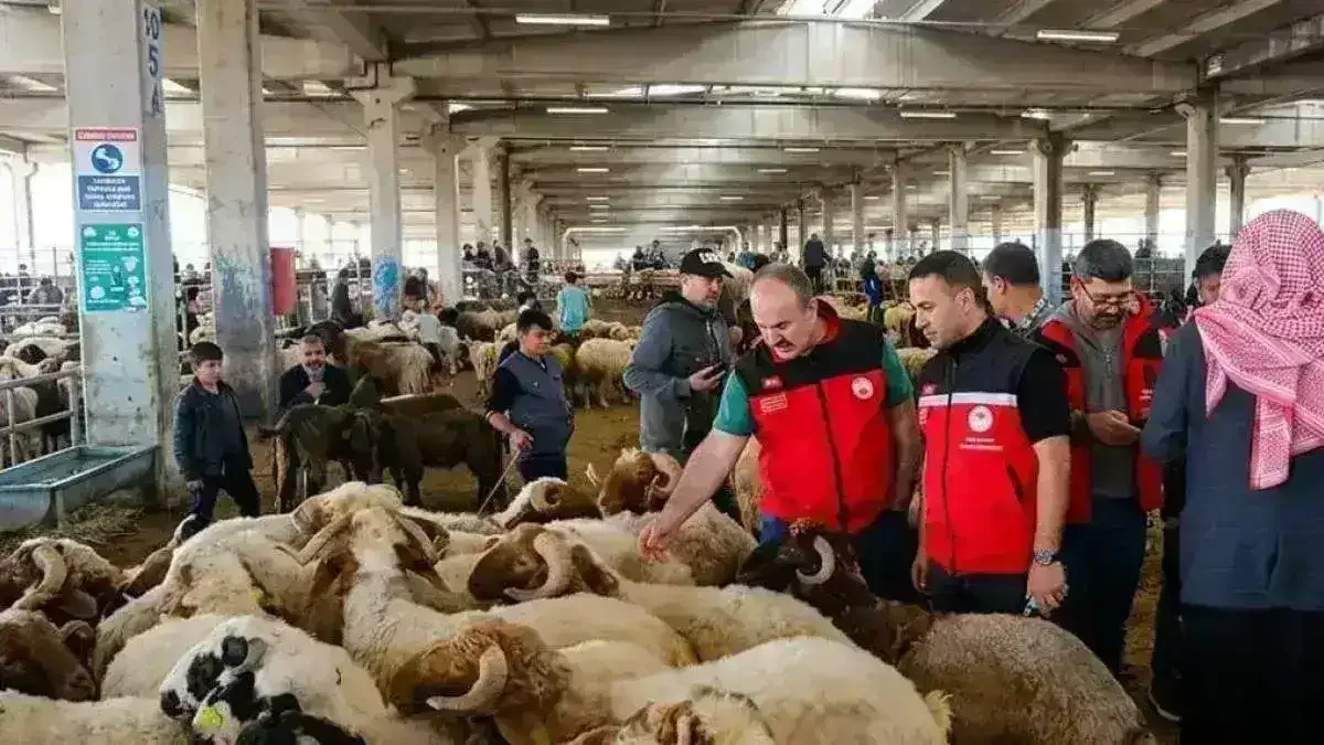 Kurban denetimleri 81 ilde sıkılaştırıldı