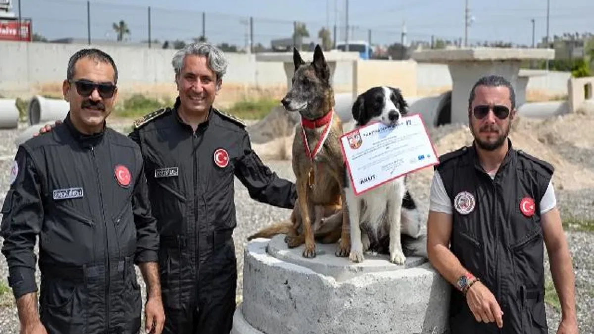 Ares ve Rex, uluslararası sınavda zirvede