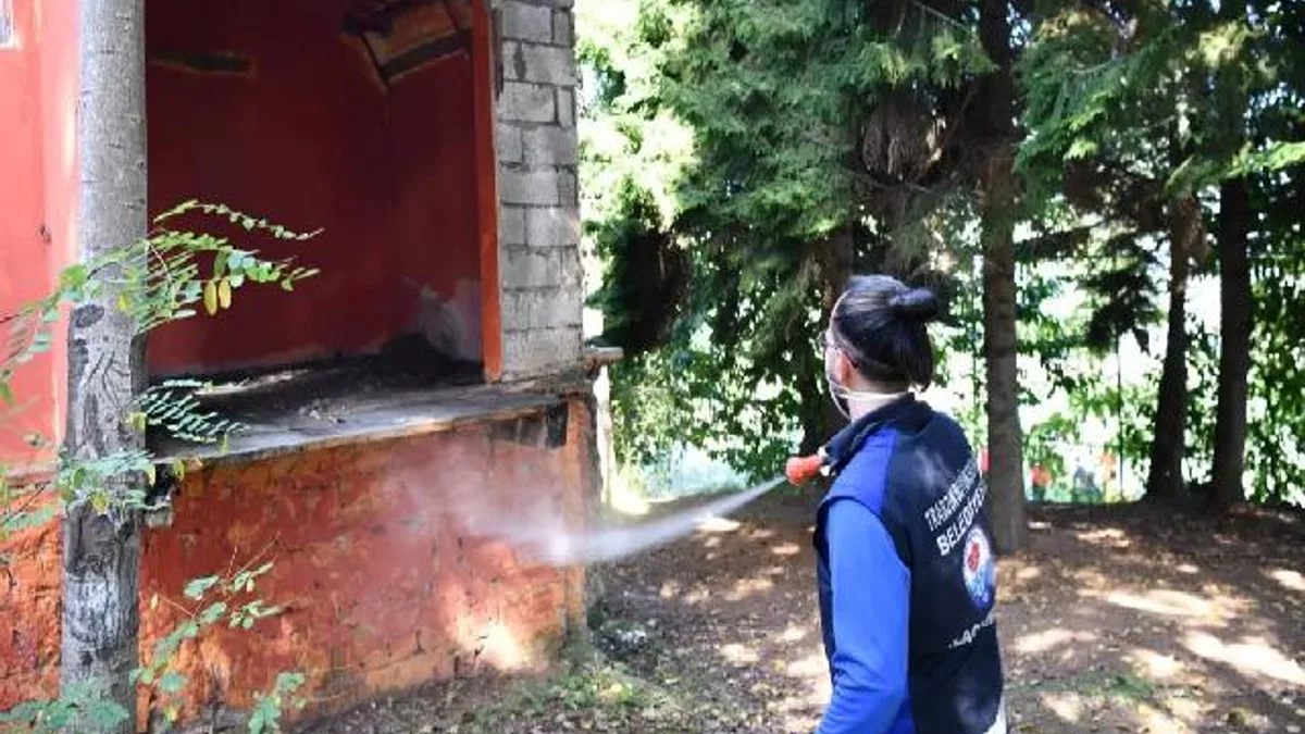 Trabzon’da tarım zararlısına karşı yoğun ilaçlama