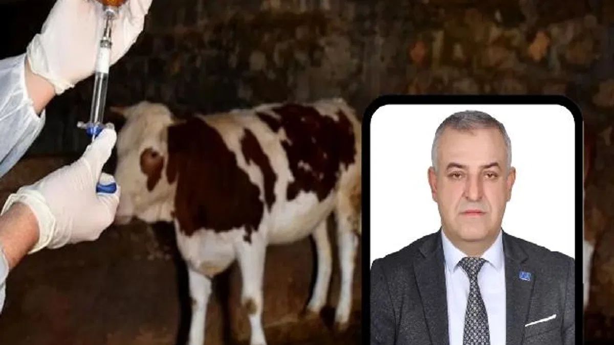 Bursa Mustafakemalpaşa’da şap alarmına A Parti açıklaması