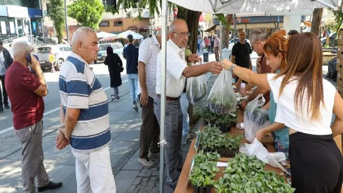 Ordu’da kışlık sebze atağı: 200 bin fide üreticiyle buluşuyor