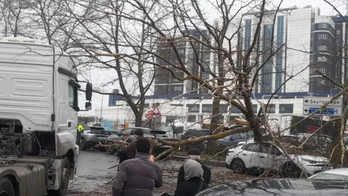 İstanbul'da fırtına: Ağaç devrildi, sahil yolları kapandı!