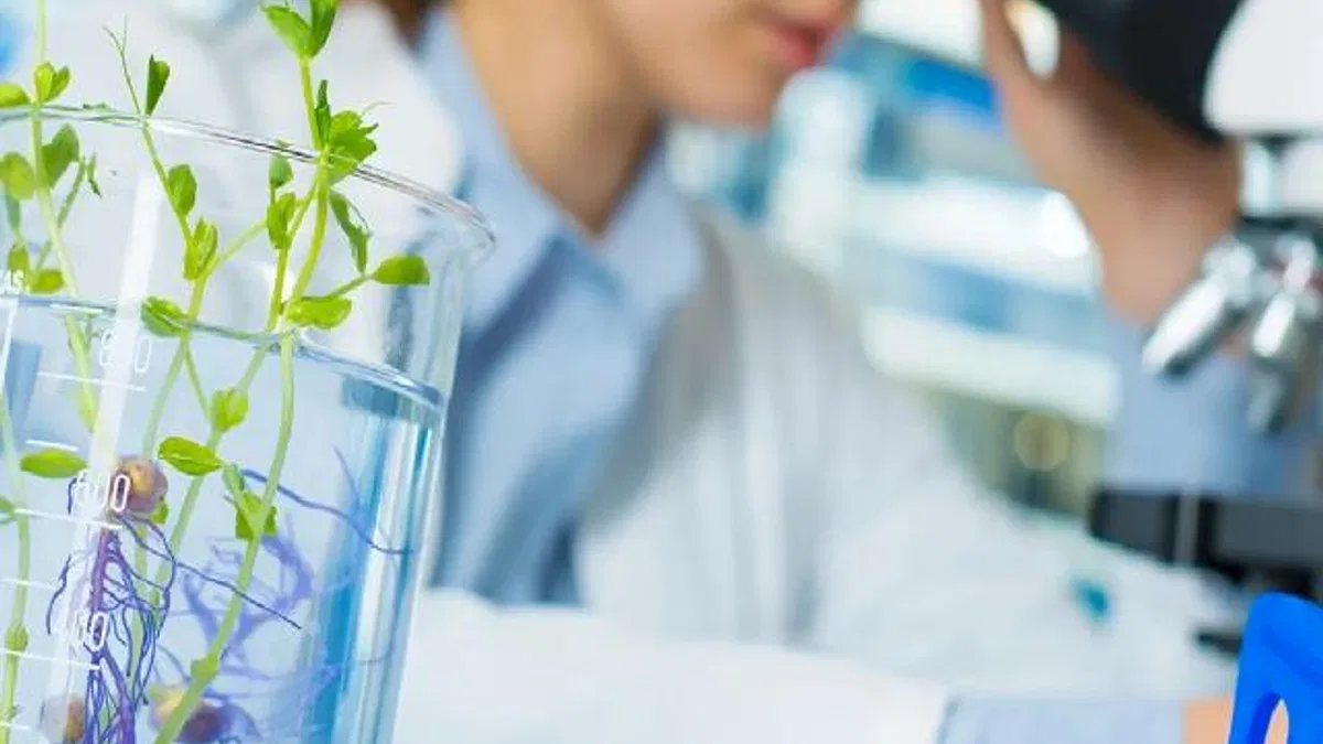 Laboratuvar denetimlerinde yeni kural! Cezalarda tarih hesabı il müdürlerine bağlandı