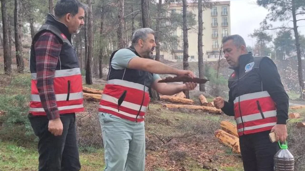 Hatay’da mücbir ağaç kesimlerine 'Tabiatı Koruma'dan açıklama