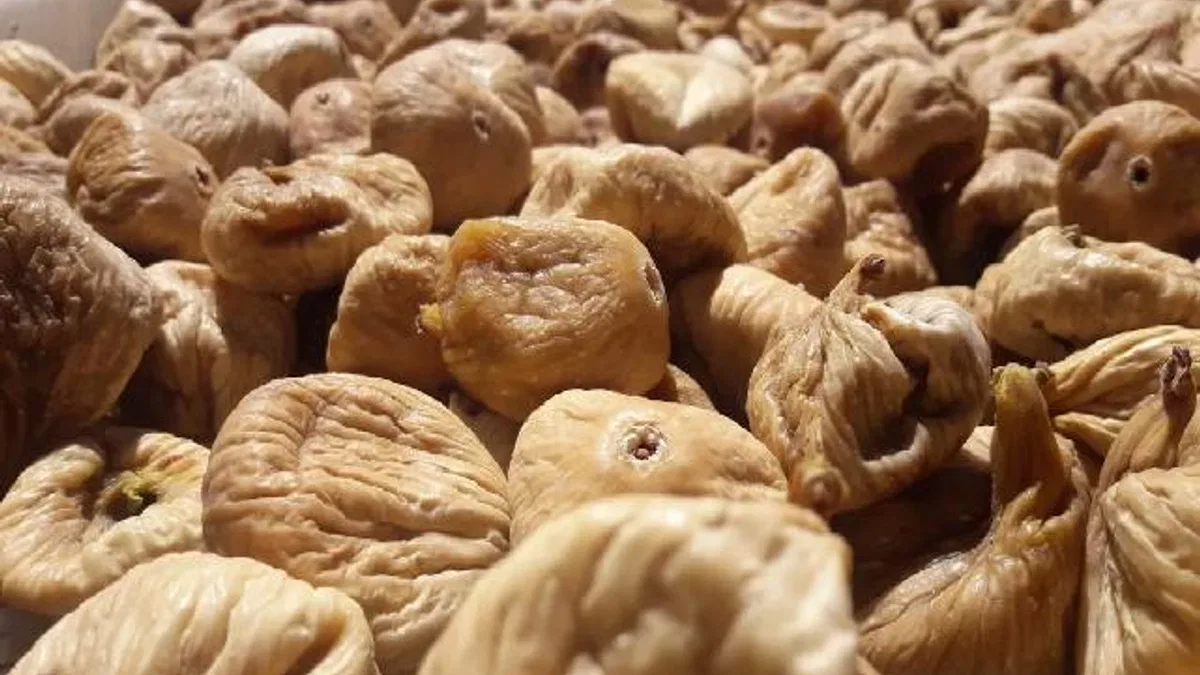 Kuru incirin gıda güvenliği için 19 bin kerevet dağıtıldı