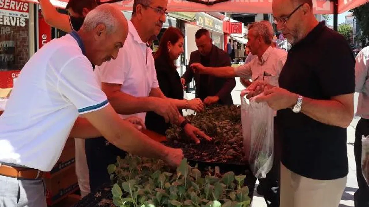 İzmit'ten vatandaşlara fide hediyesi