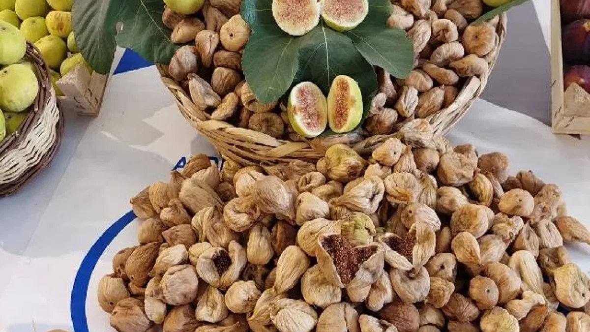 Kuru incir ihracatında tarihi rekor!