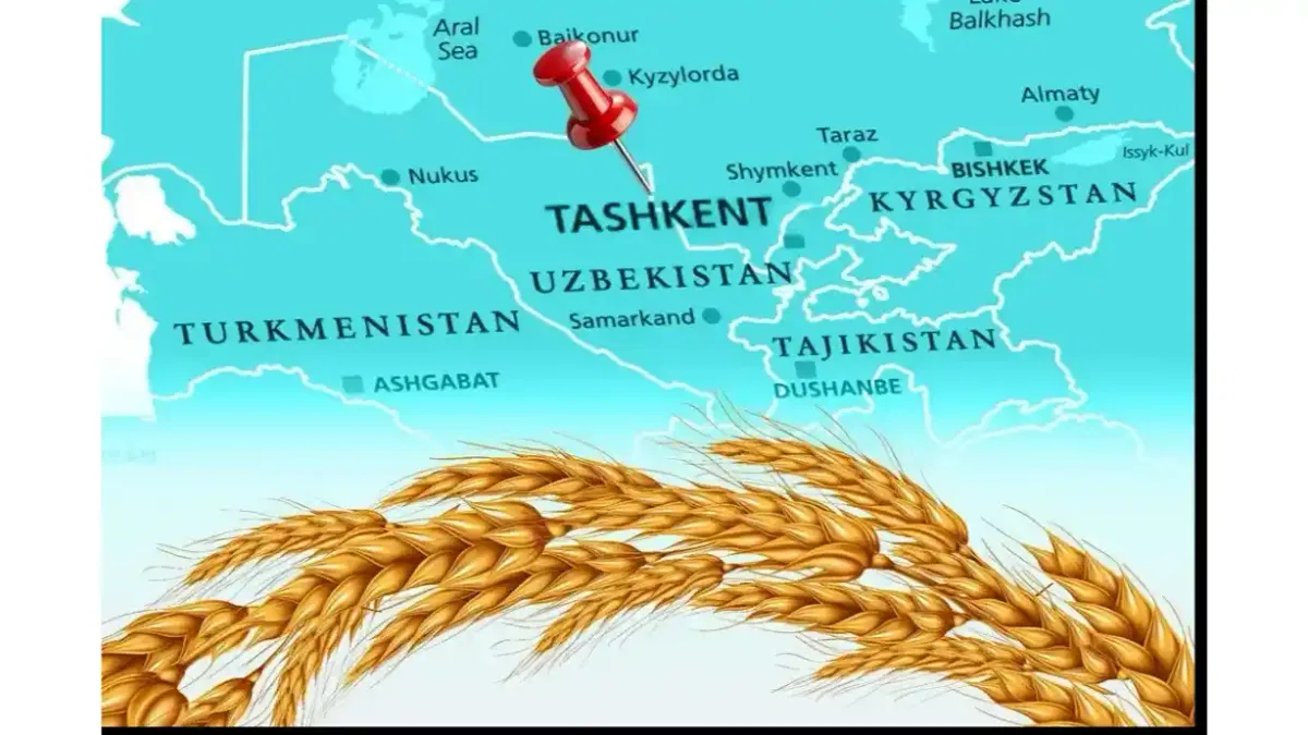 Türkiye un ihracatında 12. şampiyonluk hedefini koydu... Tahıl sektörü Taşkent'te buluşuyor