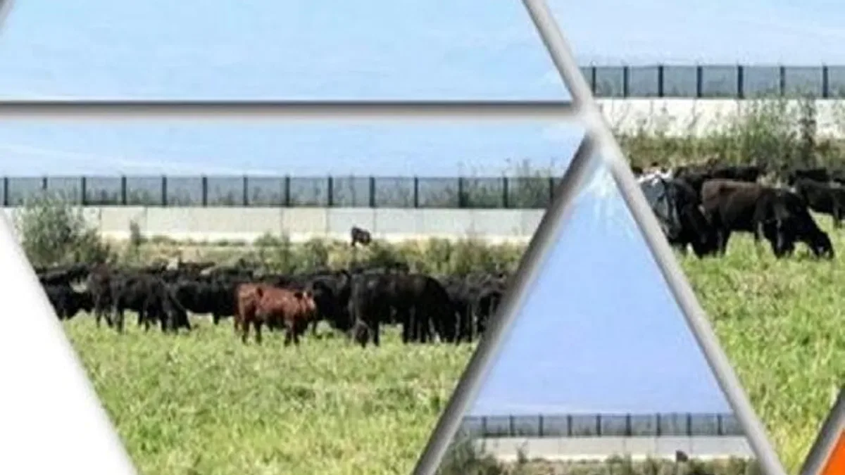 TİGEM’den 'Kırsalda Bereket Hayvancılığa Destek Projesi' için yeni duyuru