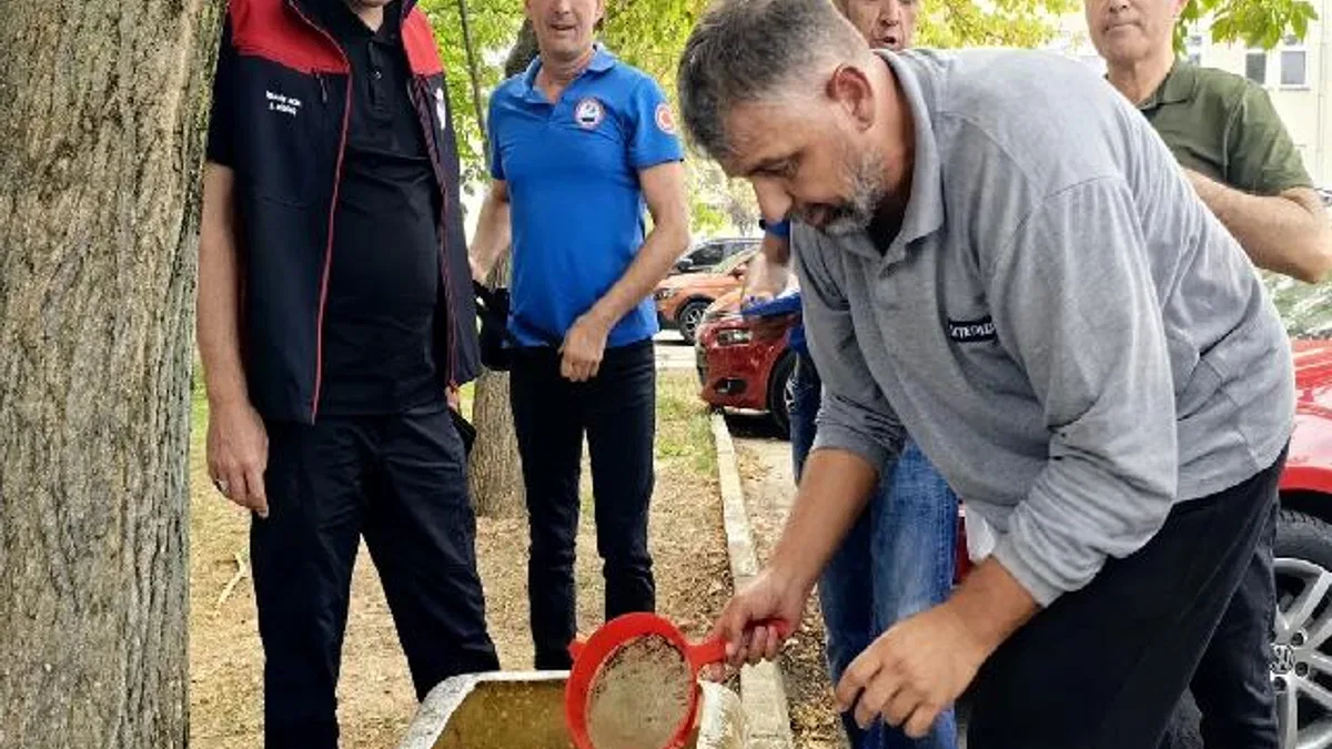 Bursa'nın su kaynaklarına 2,2 milyon sazan balığı bırakılacak