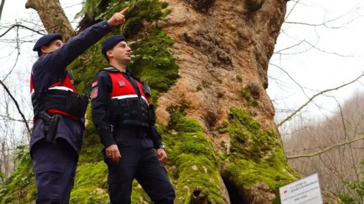 Yalova’da Jandarma turizm bölgelerinde güvenliği artırdı