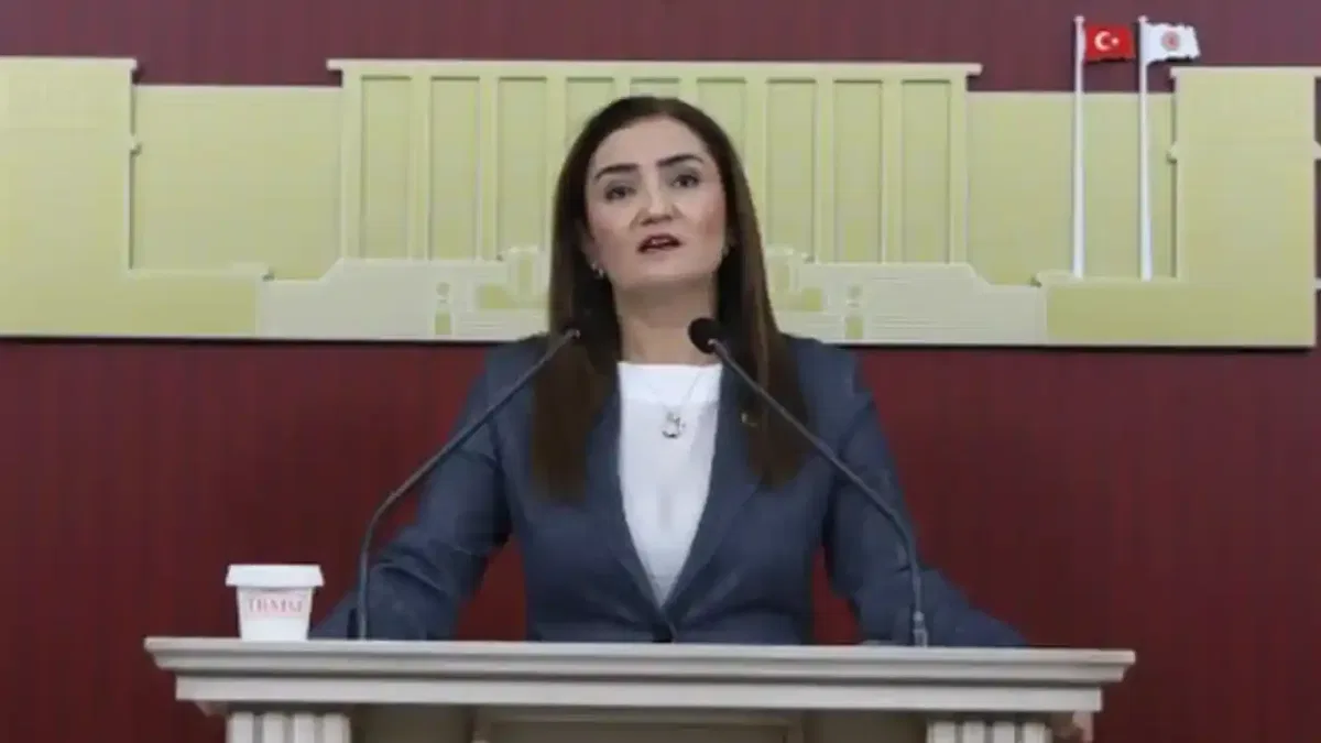 CHP Grup Başkanvekili Kılıç’tan 'silahsızlanma' vurgusu