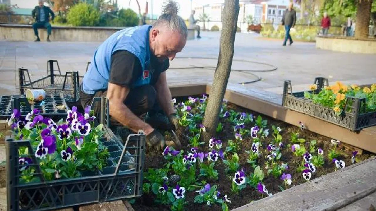 Giresun'a yeniden bahar geldi