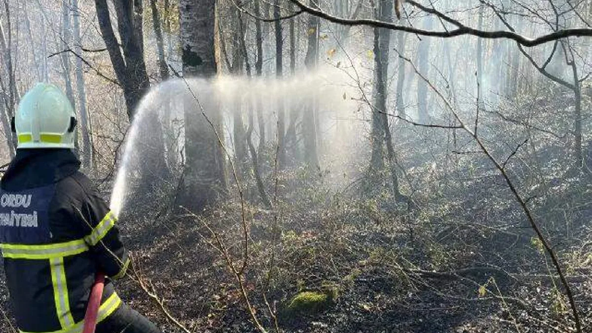 Ordu’da bir haftada 40 yangın alarmı
