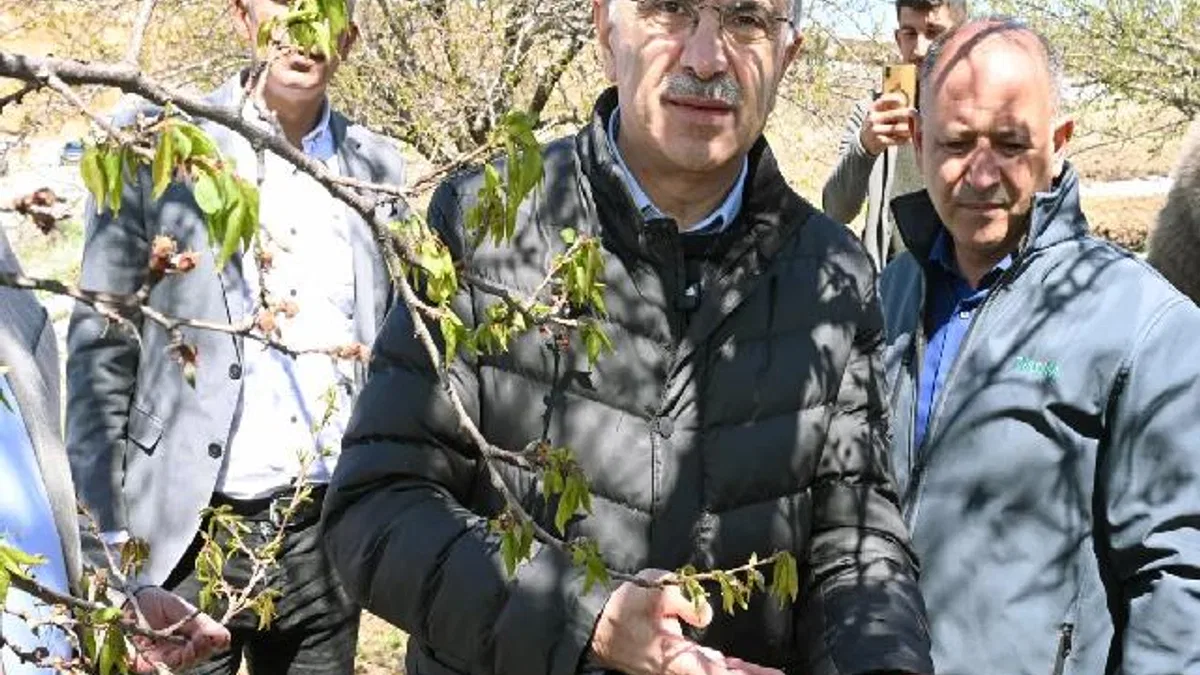 Malatya'da kar ve don mağduriyeti incelemesi