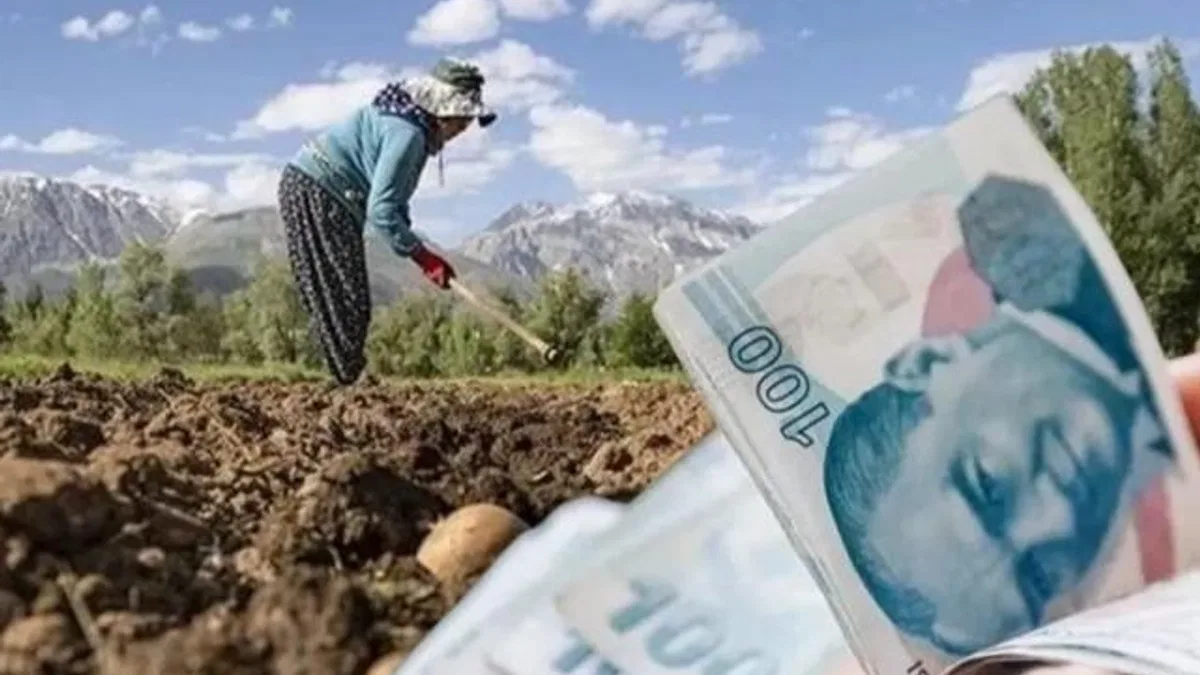 Kooperatiflere 4,5 milyar TL'lik kredi desteği