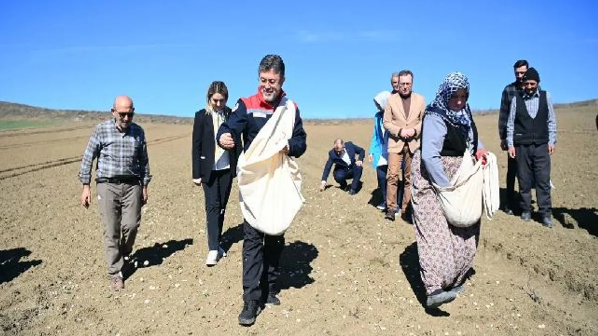 Bakan Yumaklı Taşköprü'de... Önlüğü giydi, sarımsak ekti