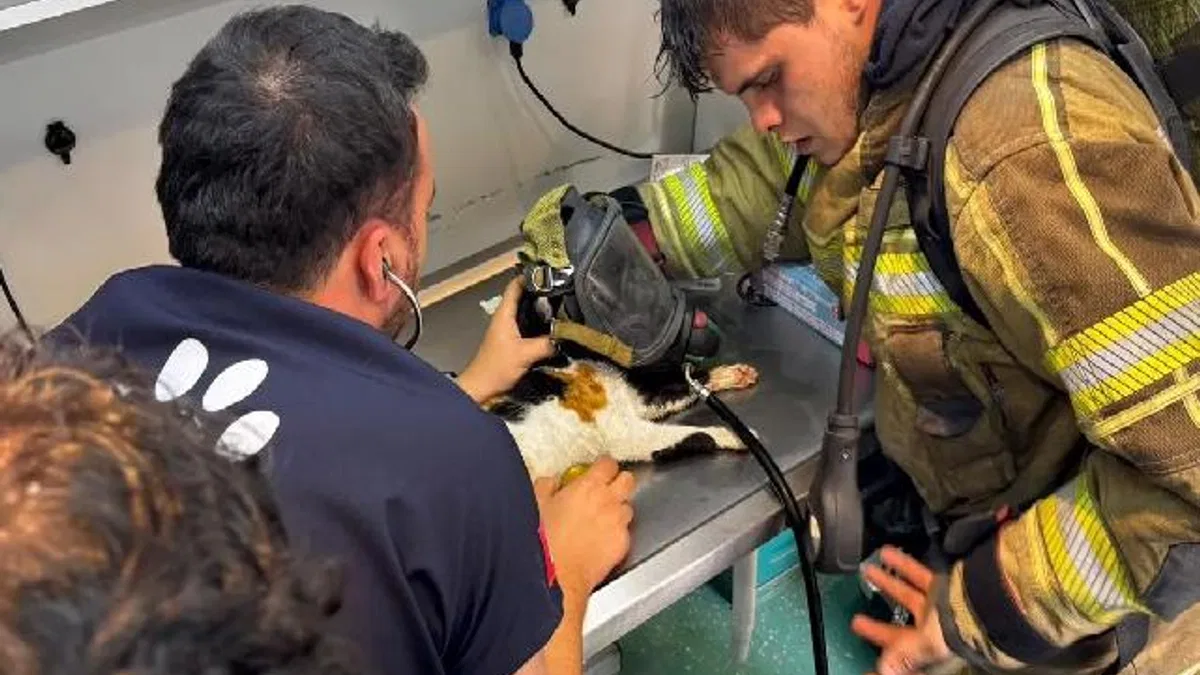 İzmir’de itfaiyeden can dostlara kahramanca müdahale