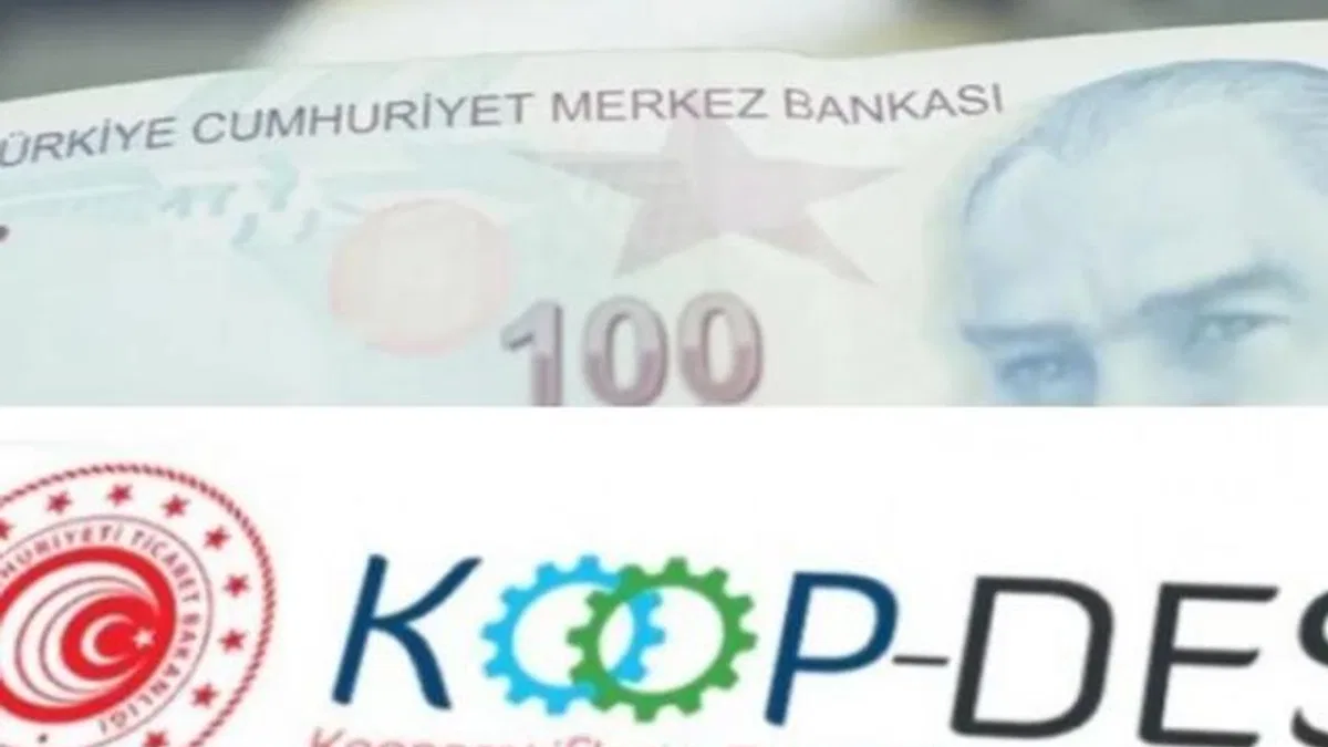 KOOP-DES Yönetmeliği’nde değişiklik Resmi Gazete'de